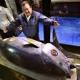 Self-styled 'tuna king' shows off his catch