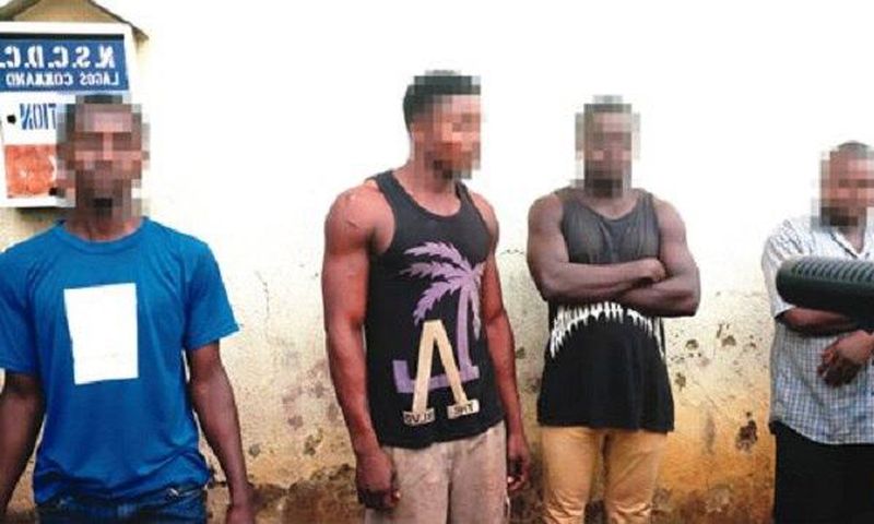 The rape suspects