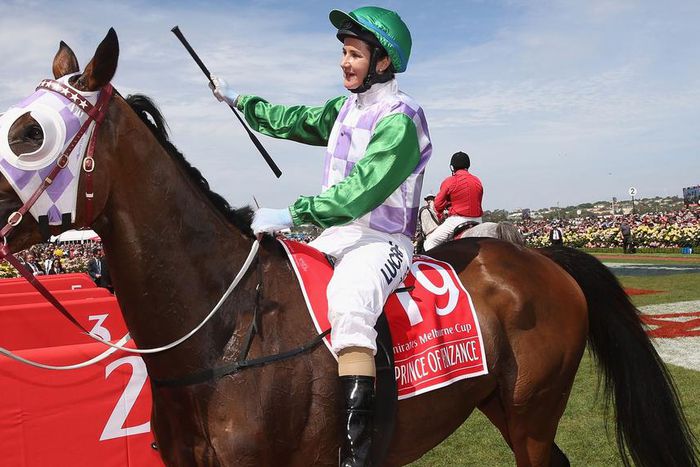 ___4320078___https:______static.pulse.com.gh___webservice___escenic___binary___4320078___2015___11___3___14___michellepayne-cropped_1v87aecsg2vkg1x83k875zphxw