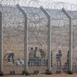 African would-be immigrants stand near the border fence between Israel and Egypt near the Israeli village of Be'er Milcha in a file photo. REUTERS/ Nir Elias