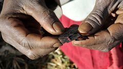 ___4388419___https:______static.pulse.com.gh___webservice___escenic___binary___4388419___2015___11___24___11___female-genital-mutilation