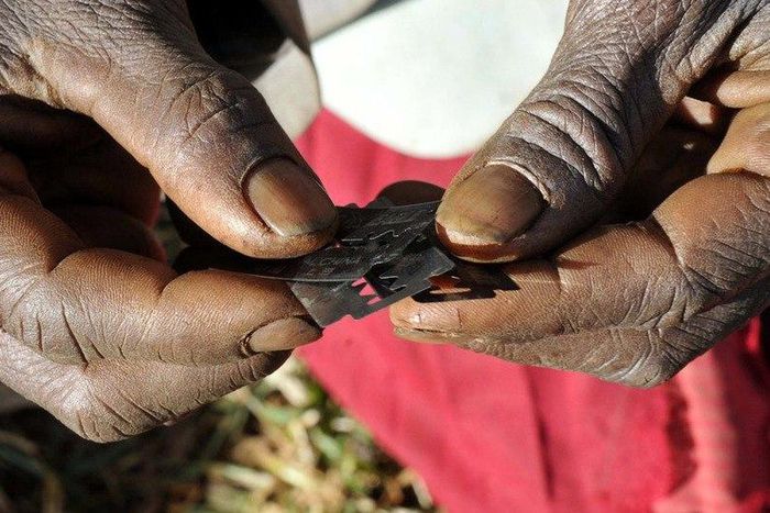 ___4388419___https:______static.pulse.com.gh___webservice___escenic___binary___4388419___2015___11___24___11___female-genital-mutilation