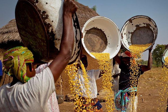 ___4477452___https:______static.pulse.com.gh___webservice___escenic___binary___4477452___2015___12___18___12___download