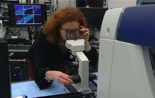She’s talking about colorful images of tissue samples at the cellular level -- under a microscope.
