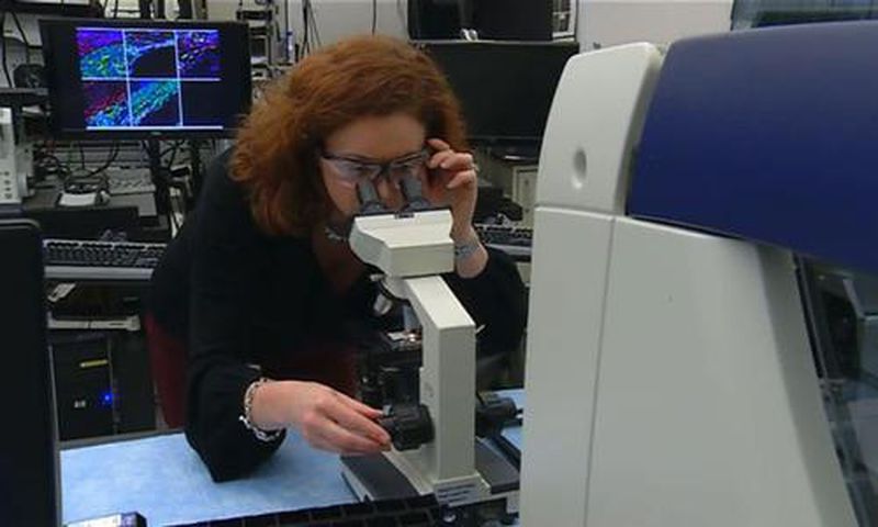 She’s talking about colorful images of tissue samples at the cellular level -- under a microscope.