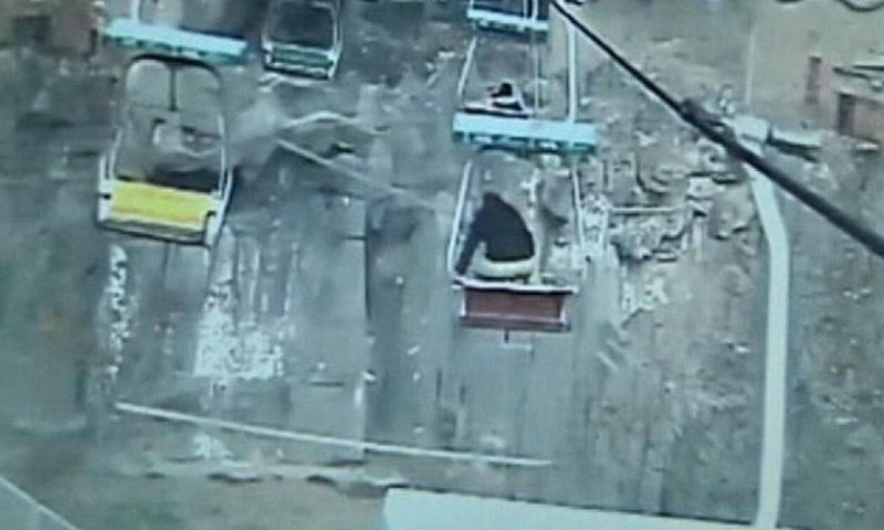 Video of a man jumping into a Tiger's den goes viral