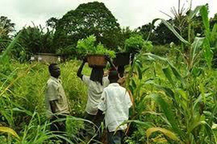 ___4366870___https:______static.pulse.com.gh___webservice___escenic___binary___4366870___2015___11___17___13___url