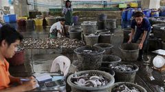 Targeted prosecutions needed to end modern-day slavery scourge