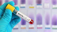 France widens bird flu restrictions to tackle outbreak in southwest