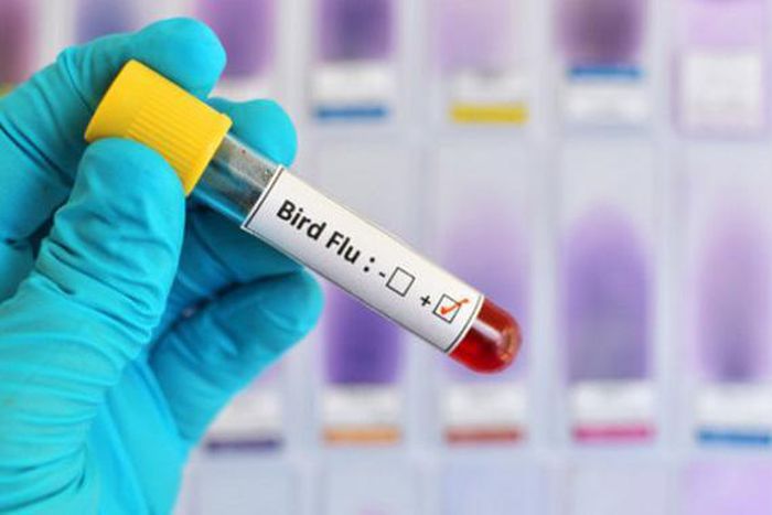 France widens bird flu restrictions to tackle outbreak in southwest