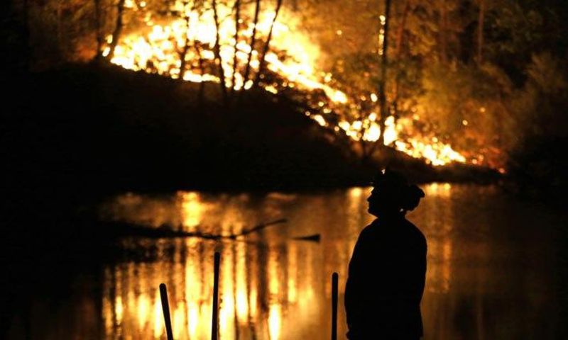 Australia's bushfires leave trail of death and destruction