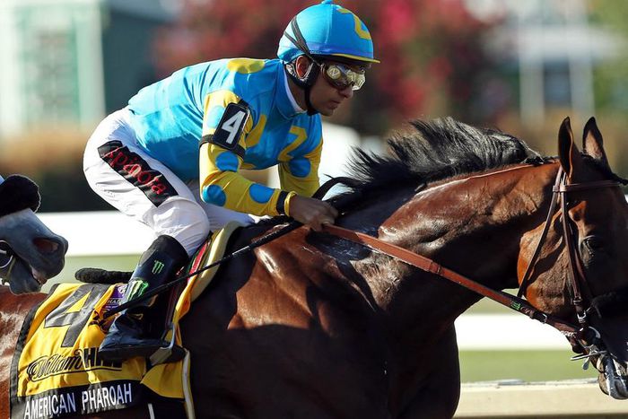 ___4300525___https:______static.pulse.com.gh___webservice___escenic___binary___4300525___2015___10___28___14___american-pharaoh-cropped_1oahuin6p2gsk19ipckhuq5ppk_1