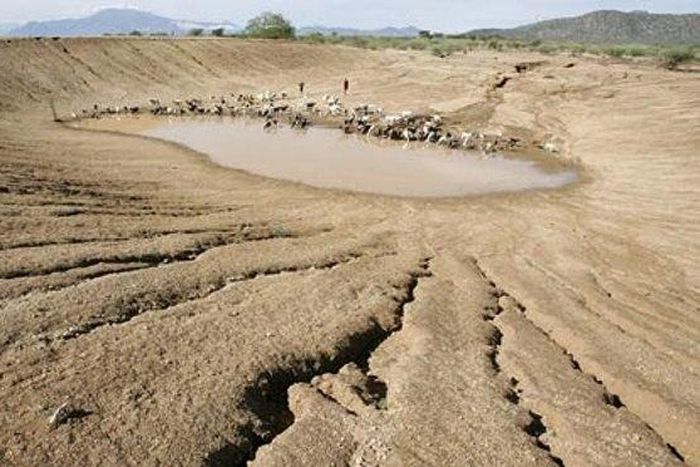 ___4504768___https:______static.pulse.com.gh___webservice___escenic___binary___4504768___2015___12___29___11___temp