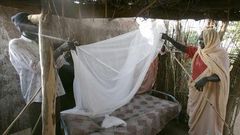 U.S. charges Burkina Faso man with fraud over bogus malaria nets