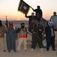 German cabinet backs plans to join military campaign against IS in Syria