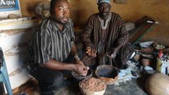 Stephen Awuni, CSIR Research Scientist, with a traditional herbal practitioner during an interview. In Ghana, around 70 percent of the population sees traditional medicine as a desirable and necessary means of treating problems that Western medicine ca...