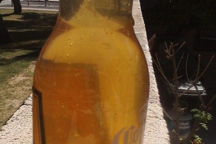 ___4414497___https:______static.pulse.com.gh___webservice___escenic___binary___4414497___2015___12___1___16___1006234