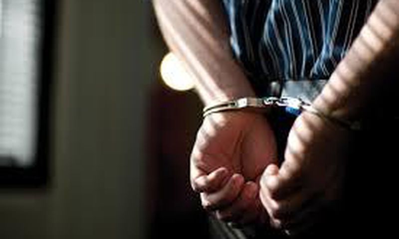 25-year old Man sentenced to prison for beheading mother's cat