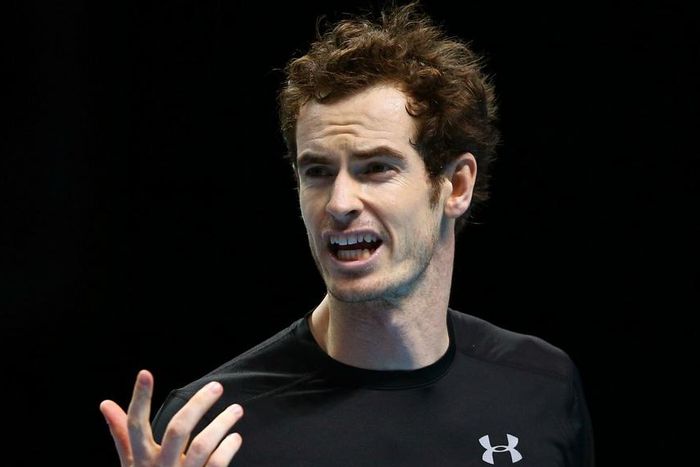 ___4397958___https:______static.pulse.com.gh___webservice___escenic___binary___4397958___2015___11___26___23___andymurray-cropped_l8dss6433gzt1hzv7avmoajxd