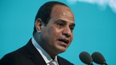 Egypt's Sisi says Britain, other NATO members must do more in Libya