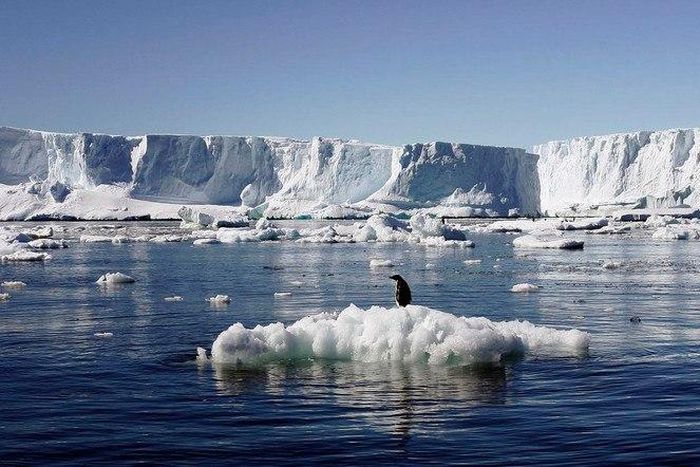 ___4407354___https:______static.pulse.com.gh___webservice___escenic___binary___4407354___2015___11___30___8___c5e43f9c-a654-4261-a64b-66597941d333_16x9_788x442