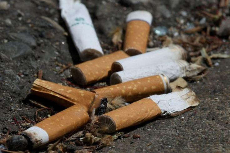 ___4337155___https:______static.pulse.com.gh___webservice___escenic___binary___4337155___2015___11___8___15___1446843651868