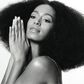 Solange Knowles