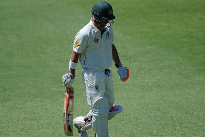 ___4391115___https:______static.pulse.com.gh___webservice___escenic___binary___4391115___2015___11___25___11___davidwarner-cropped_62b8egkjagk11wwi5mbvns3ms