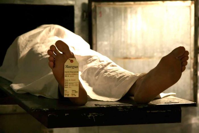 ___3503698___https:______static.pulse.com.gh___webservice___escenic___binary___3503698___2015___2___20___17___morgue3