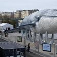 A giant whale sculpture is displayed along the side of the river Seine in Paris, France, December 5, 2015 as the World Climate Change Conference 2015 (COP21) continues at Le Bourget near the French capital.