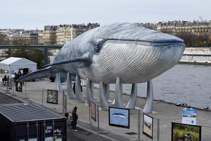 A giant whale sculpture is displayed along the side of the river Seine in Paris, France, December 5, 2015 as the World Climate Change Conference 2015 (COP21) continues at Le Bourget near the French capital.