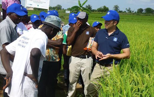 Yara Ghana and USAID organize Training for Field Staff
