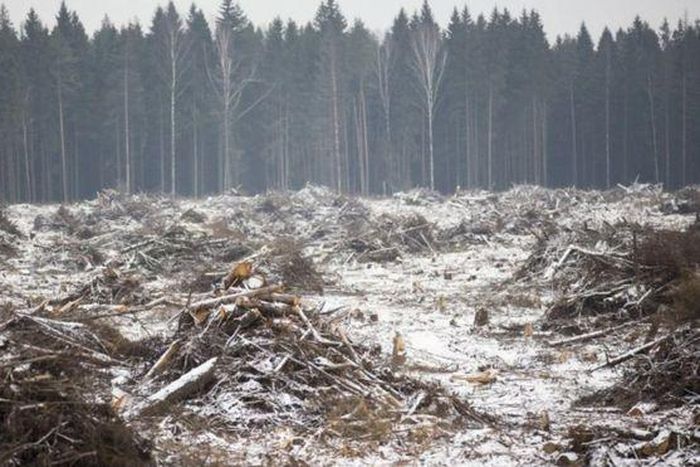 ___4455303___https:______static.pulse.com.gh___webservice___escenic___binary___4455303___2015___12___12___8____87173010_87173008