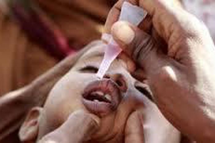 Polio immunisation