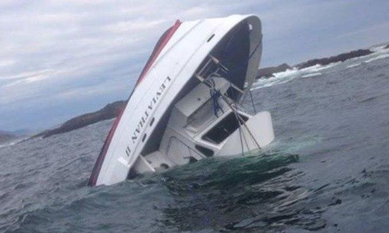 Canadian whale-watching boat sinks, killing five with one missing