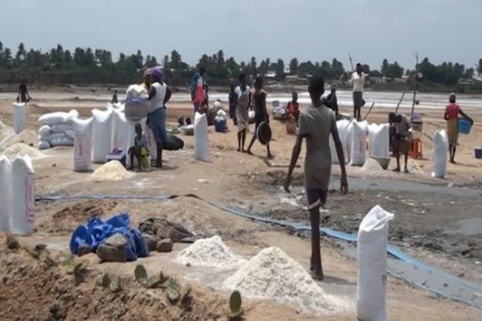 ___4480750___https:______static.pulse.com.gh___webservice___escenic___binary___4480750___2015___12___19___18___49786925