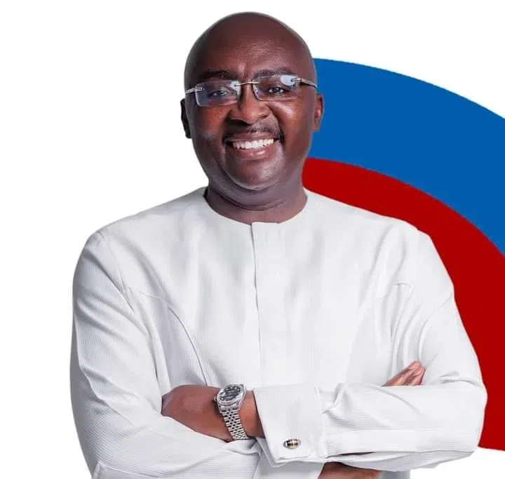 NPP flagbearer race: 4 prominent names that have emerged so far for 2028 election