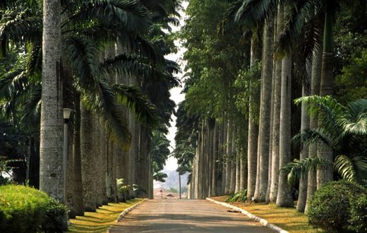 Aburi botanical gardens