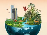 5 important reasons you must start planting trees today