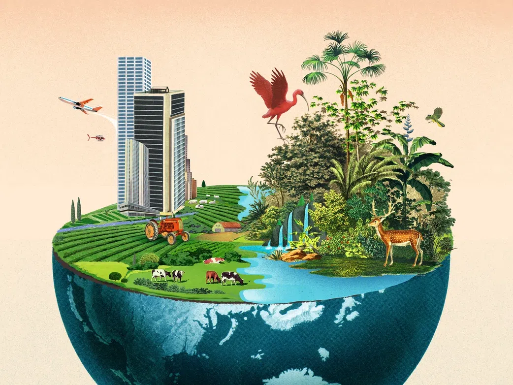 5 important reasons you must start planting trees today