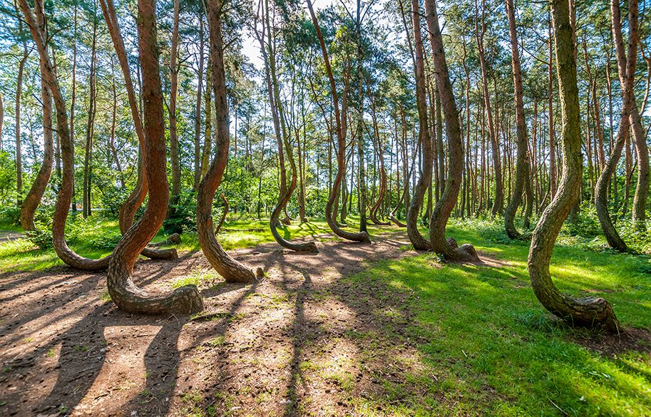 10 mysterious places in the world that scientists still can't fully explain
