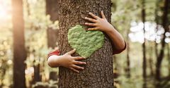 5 important reasons you must start planting trees today