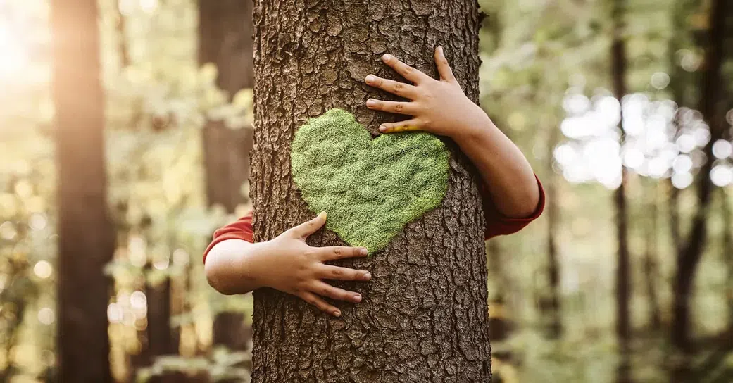 5 important reasons you must start planting trees today