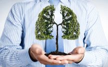 5 important reasons you must start planting trees today