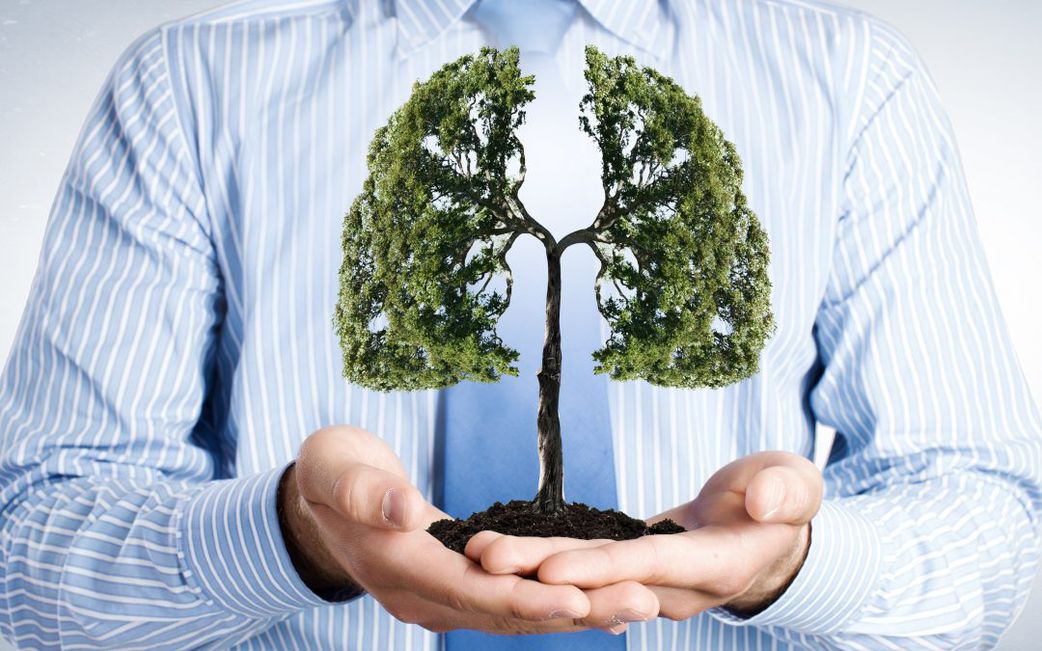 5 important reasons you must start planting trees today