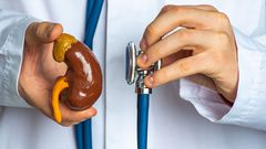 Did you know that you can survive without some of your human organs?