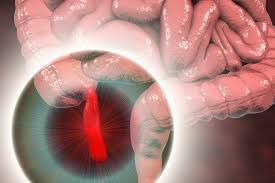Did you know that you can survive without some of your human organs?