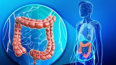 Did you know that you can survive without some of your human organs?