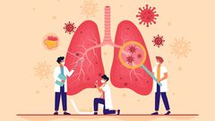 Did you know that you can survive without some of your human organs?