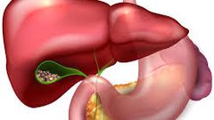 Did you know that you can survive without some of your human organs?